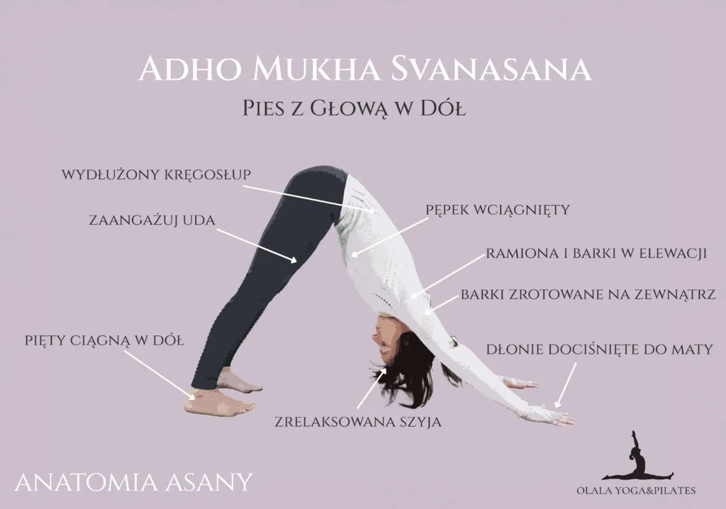 pies z głową w dół