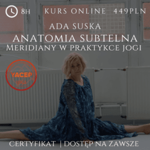 Kurs Anatomia Subtelna Meridiany