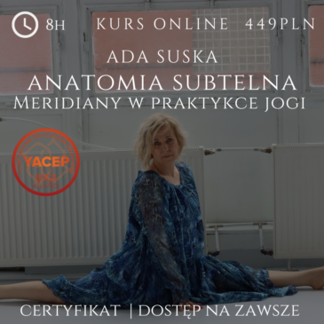 Kurs Anatomia Subtelna Meridiany